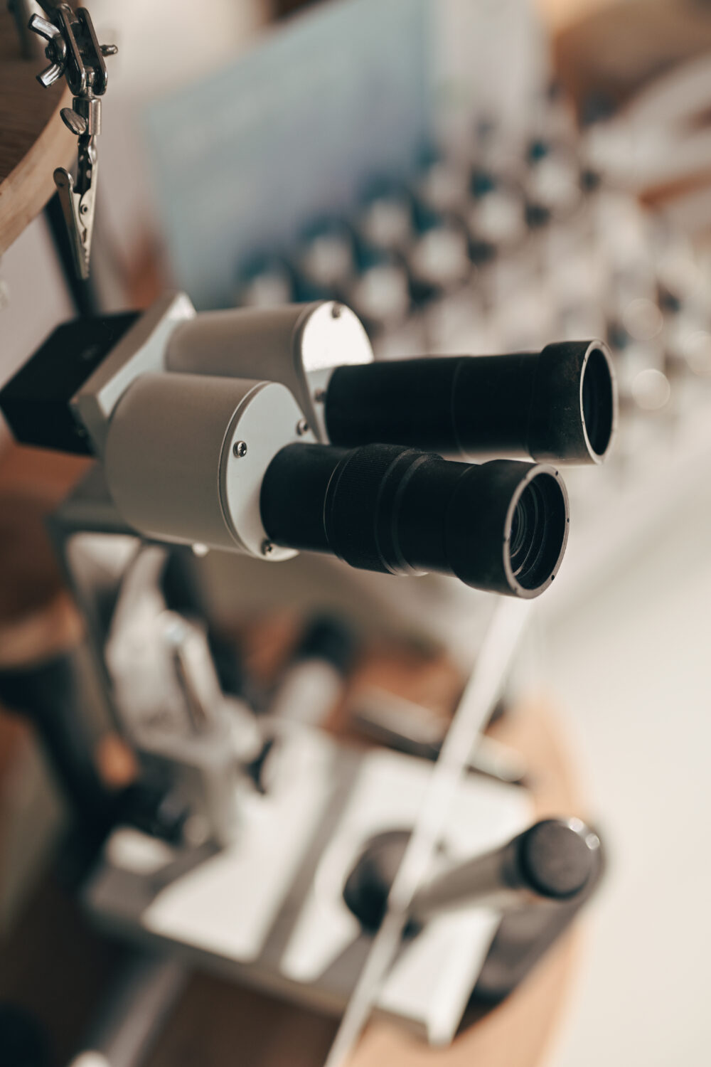 Séance d’iridologie personnalisée avec Céline Hubert, naturopathe